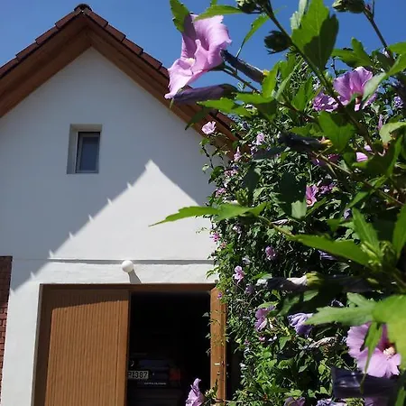 Apartmán Antal